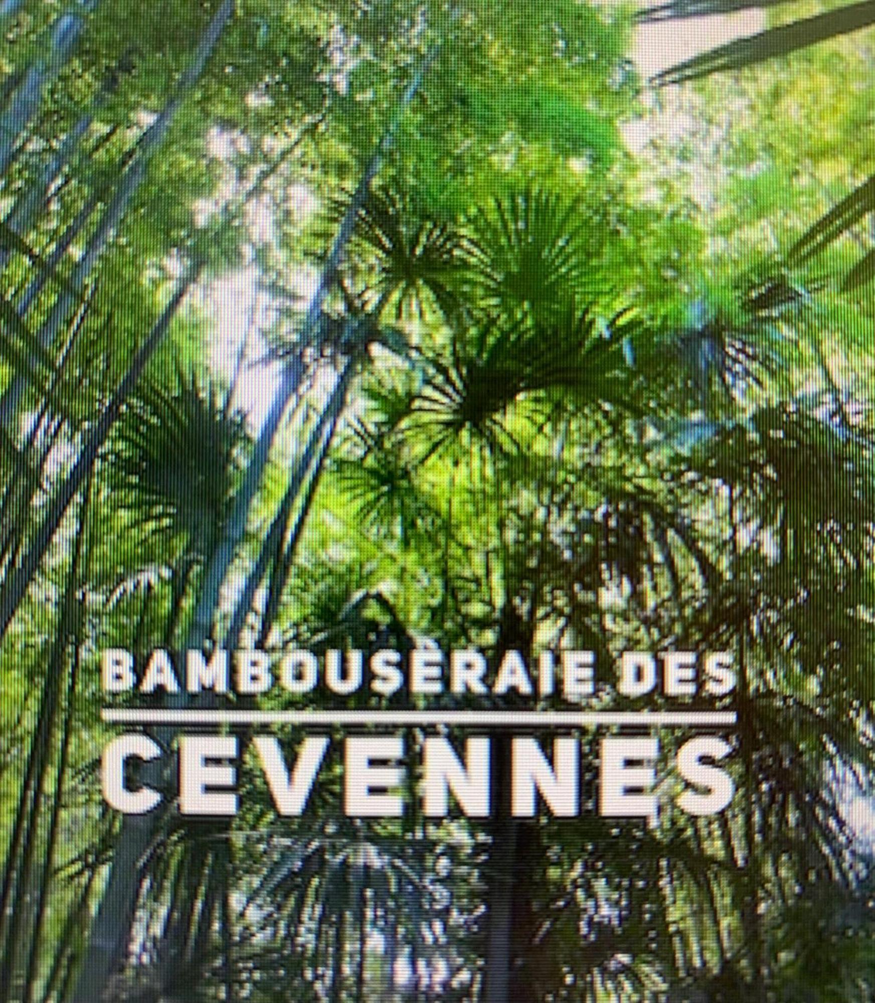 Les Clapiers Avec Jacuzzi Et Riviere. Apartamento Mialet (Gard)